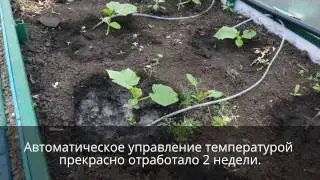 Умная теплица Arduino Mega (Smart Greenhouse). Часть 3: автополив.