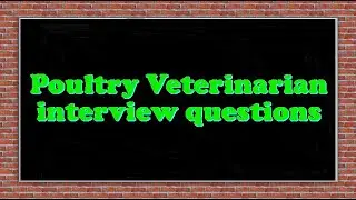 Poultry Veterinarian interview questions