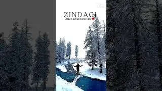 Kashmir Snowfall Status | Travel quotes | Snowfall video #2024 #travel