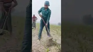 my first short video|| khet mein viral short