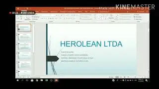 HEROLEAN LTDA