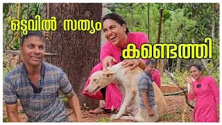 സത്യം കണ്ടെത്തിയപ്പോൾ.../agriculture tips /Farming /Cleaning /Cheera Krishi /Family day
