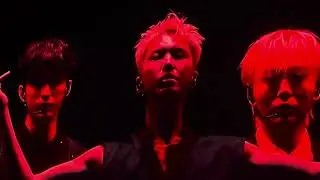 Seventeen - Fear (Fancam)