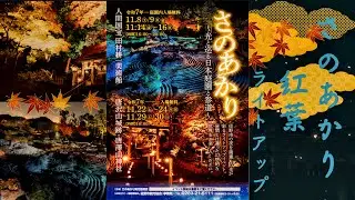 紅葉ライトアップイベント ‟ さのあかり ” に行ってきた 【2025年11月30日】 ※ fp [C-DNG]にて撮影