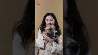 #shorts  How dogs keep you in good health 💃🏼💇🏼&zwj;♂️🐕| papawflix |