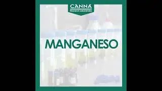 MANGANESO - Carencia Mononutrientes - Gu&iacute;a Deficiencia CANNA