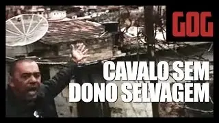 Cavalo sem dono selvagem - GOG  Video Clip Oficial
