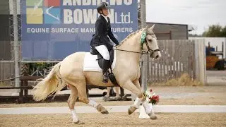 Prelim 19 British Dressage 71.25% 2nd place Weston Lawns festival of dressage championship