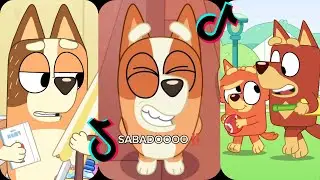 Bluey TikToks - Best Tiktok Compilation 2025