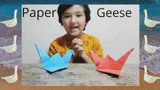 Make fun paper Geese with Sufian
