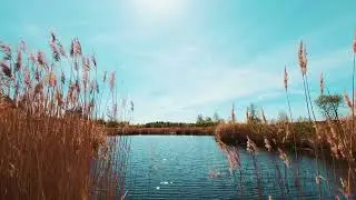 Epi 3 Exodus Chp 5 to 6 Moses confronts Pharaoh Holy Bible