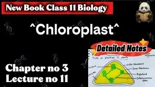 Chap#3|Chloroplasts|Cell and subcellular organelles|Class 11 biology|New Edition Book 