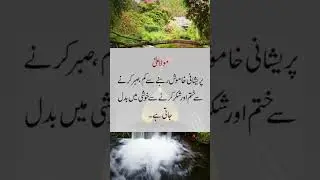 Islamic Quotes | Urdu Quotes | Shorts Video | Viral | Trending Shorts | Viral Shorts | Faizi Speech