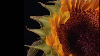 VJ footage 6 41 Free Footage - VJ Loops