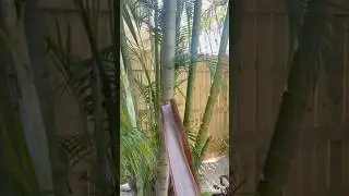 Can a piece of palm tree bark cut through METAL