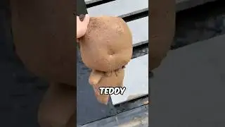 Cleaning my Sister's Teddy Bear 😍🐻&zwj;❄️
