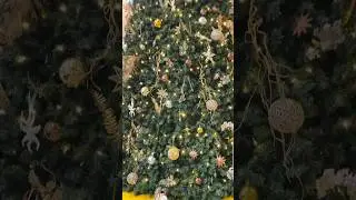 Loop. Huge Christmas tree. #japan #nature #chirstmas