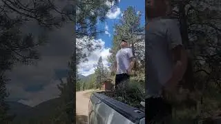 Real life camphosting