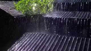 Powerful Shingle Rain on Old Tin Roof | Ultimate Sleep Instantly & Heavy Rain Sounds