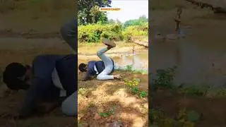 Chilke judi New Ho Comedy #comedyshorts #shortsfeed #funny ss Sundi comedy