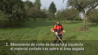 Corte de Cesped con Desbrozadora | Corte de Cesped con Motoguada&ntilde;a | Consejos STIHL