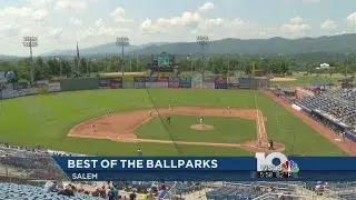 Salem Red Sox's Lewis-Gale Field up for top honors