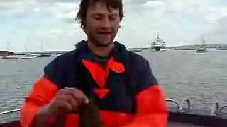 topknot fish