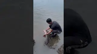 Fishing in Goa  red snapper catch and release #goafishing #fishinglife #redsnapper