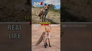 Real Life vs RDR 2 Comparison #9 Fox Comparison #reddeadredemption2 #rdr2