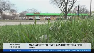 Man hits Warren store clerk with frozen fish after learning fish counter was closed, officials say