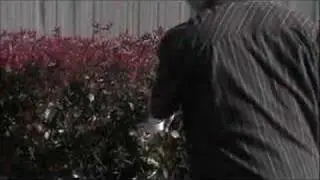 19 Random Acts of Kindness