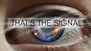 Eye Twitching Meaning During Spiritual Awakening &ndash; The Truth No One Told You