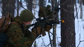 Joint Viking 25: Enhancing U.S. Marines and NATO Interoperability