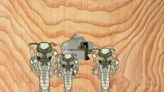 Leave Your Termite Worries To Us | Rentokil Pest Control Malaysia
