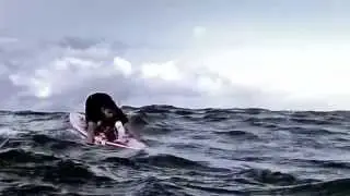 paddle clip