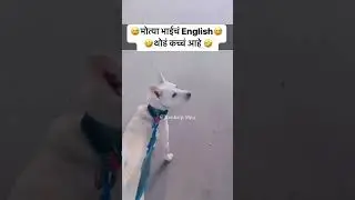 Subscribe to toosharp 😂🤣#funny