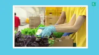 Edgistify | Fresh Produce Logistics | Hyperlocal-Delivery | Warehousing & Fulfillment | PAN India