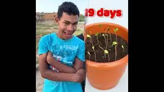 #pov #skit #funny #acting #story#fyp #foryou#foryoupage #fypシ #fypage #duet #viral #tools   .