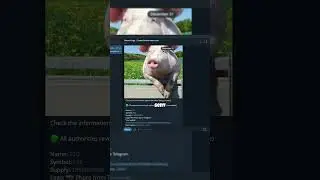 Fast Meme Coin via Telegram Bot on Solana blockchain