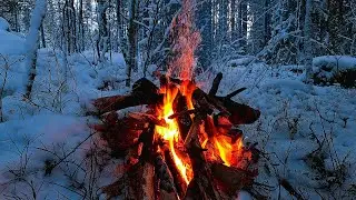 🔥 Real Campfire in Snowy Forest | Deep Natural White Noise for Sleep & Study | High-Quality