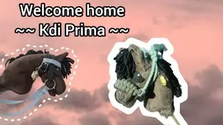 Welcome home Primcia!😆💐 Unboxing♡