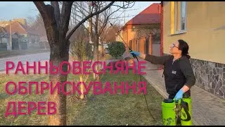 Обробка саду карбамідом і залізним купоросом весною
