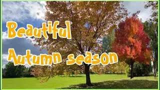 BEAUTIFUL AUTUMN SEASON #autumn #2021 #fall #facebook
