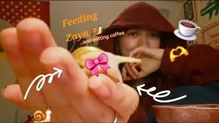 Going out for coffee/feeding my giant african land snail VLOG 