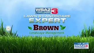 Lawn & Landscape Expert Brown Landscape Management 09/13/2024