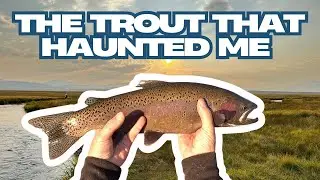 Трофейная форель, которая преследовала меня до сих пор!