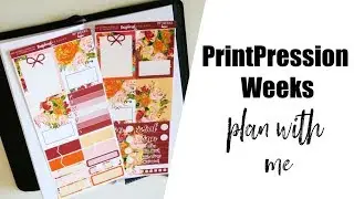 Plan With Me PPWeeks Weekly Feat Raspberyl Designs