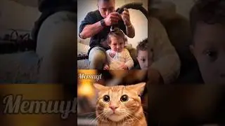 Creative Dad #memuyt #shorts