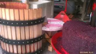 SCHERRER WINERY: 2011 VINTAGE WITH FRED & KERRY