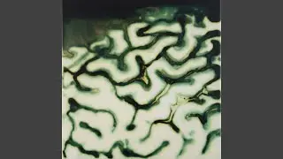 Distorsi&oacute;n (M&aacute;s trauMas que ciKtriceS)